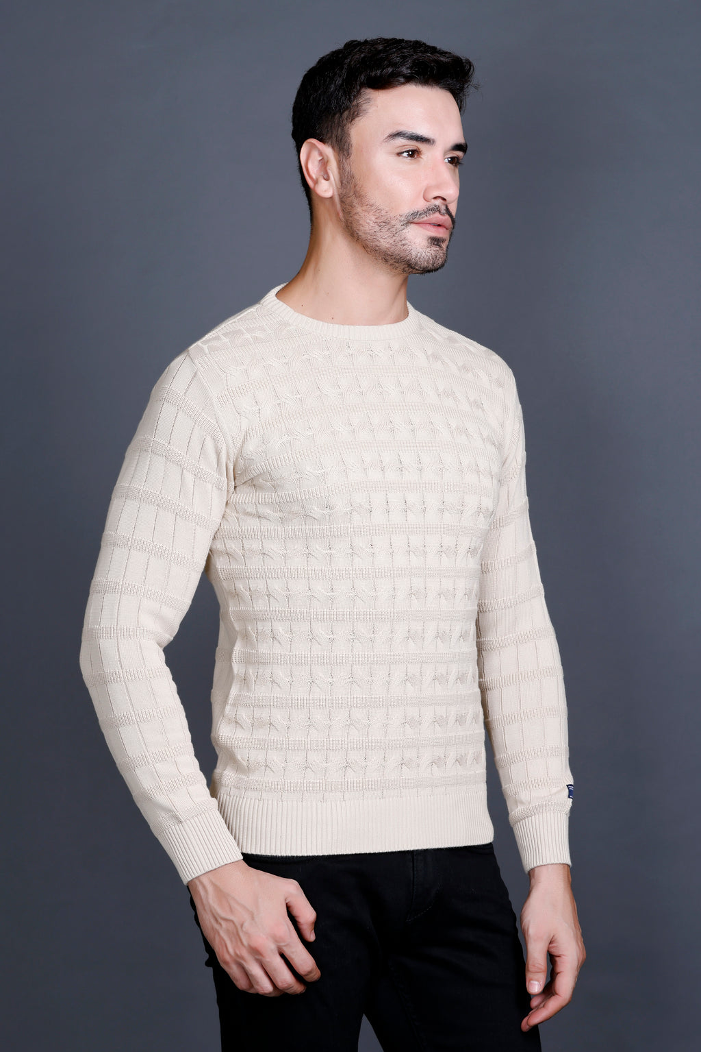 Men's Cotton Wool Round Neck Sweater