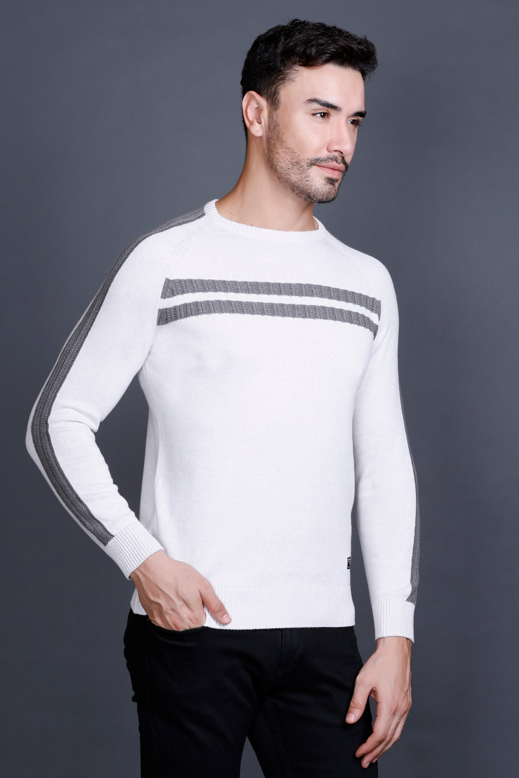 Men’s Cotton Wool Premium Sweater ( Mouse Color )
